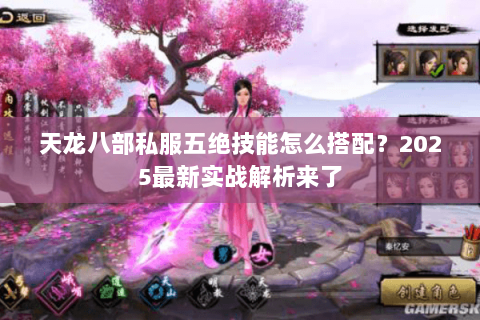 天龙八部私服五绝技能怎么搭配?2025最新实战解析来了 天龙八部私服五绝技能怎么搭配?2025最新实战解析来了
