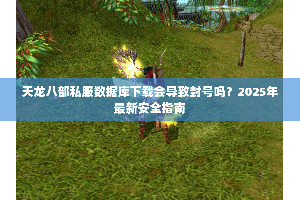 天龙八部私服数据库下载会导致封号吗？2025年最新安全指南