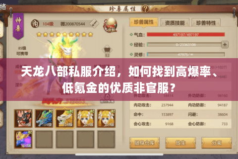 天龙八部私服介绍，如何找到高爆率、低氪金的优质非官服？