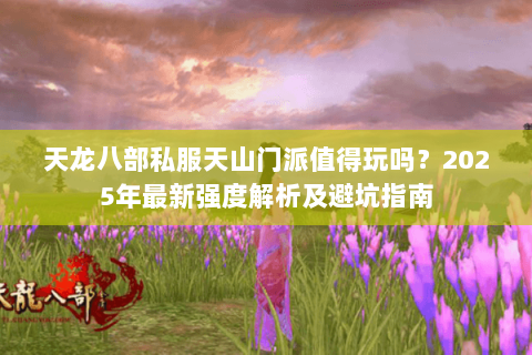 天龙八部私服天山门派值得玩吗?2025年最新强度解析及避坑指南 天龙八部私服天山门派值得玩吗?2025年最新强度解析及避坑指南