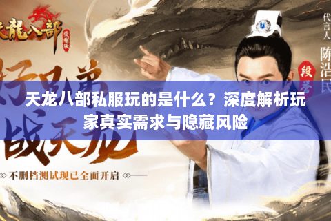 天龙八部私服玩的是什么?深度解析玩家真实需求与隐藏风险 天龙八部私服玩的是什么?深度解析玩家真实需求与隐藏风险