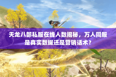 天龙八部私服在线人数揭秘,万人同服是真实数据还是营销话术? 天龙八部私服在线人数揭秘,万人同服是真实数据还是营销话术?