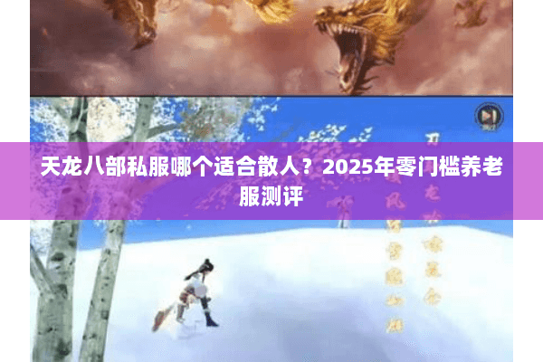 天龙八部私服哪个适合散人？2025年零门槛养老服测评