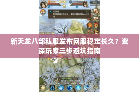 新天龙八部私服发布网服稳定长久？资深玩家三步避坑指南