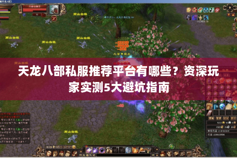 天龙八部私服推荐平台有哪些?资深玩家实测5大避坑指南 天龙八部私服推荐平台有哪些?资深玩家实测5大避坑指南