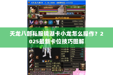 天龙八部私服镜湖卡小龙怎么操作?2025最新卡位技巧图解 天龙八部私服镜湖卡小龙怎么操作?2025最新卡位技巧图解