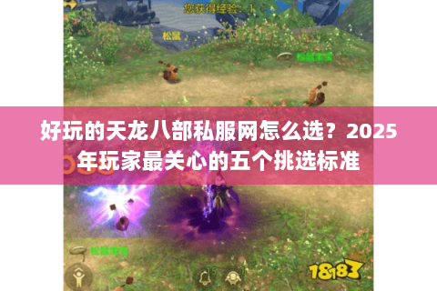 好玩的天龙八部私服网怎么选?2025年玩家最关心的五个挑选标准 好玩的天龙八部私服网怎么选?2025年玩家最关心的五个挑选标准