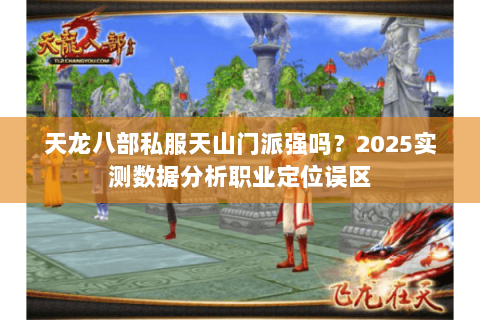 天龙八部私服天山门派强吗?2025实测数据分析职业定位误区 天龙八部私服天山门派强吗?2025实测数据分析职业定位误区