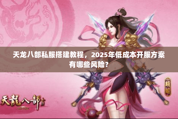 天龙八部私服搭建教程，2025年低成本开服方案有哪些风险？