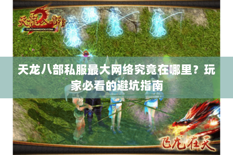 天龙八部私服最大网络究竟在哪里？玩家必看的避坑指南