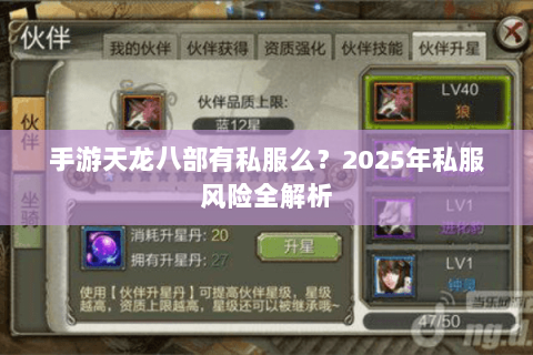 手游天龙八部有私服么?2025年私服风险全解析 手游天龙八部有私服么?2025年私服风险全解析