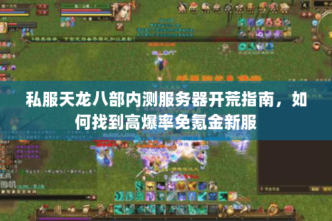 私服天龙八部内测服务器开荒指南,如何找到高爆率免氪金新服 私服天龙八部内测服务器开荒指南,如何找到高爆率免氪金新服