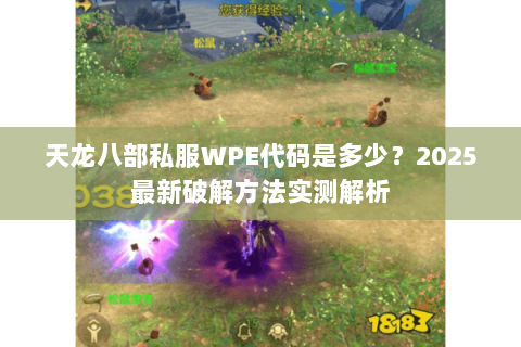 天龙八部私服WPE代码是多少?2025最新破解方法实测解析 天龙八部私服WPE代码是多少?2025最新破解方法实测解析