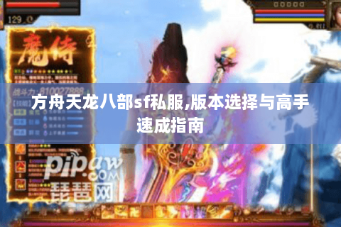 方舟天龙八部sf私服,版本选择与高手速成指南