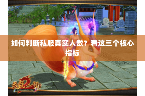 如何判断私服真实人数?看这三个核心指标 如何判断私服真实人数?看这三个核心指标