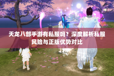 天龙八部手游有私服吗？深度解析私服风险与正版优势对比