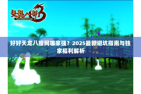 好好天龙八服网哪家强？2025最新避坑指南与独家福利解析