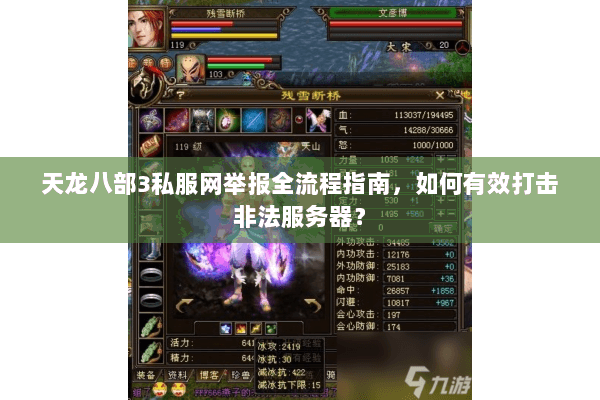 天龙八部3私服网举报全流程指南，如何有效打击非法服务器？