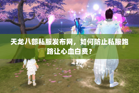 天龙八部私服发布网，如何防止私服跑路让心血白费？