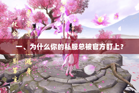 一、为什么你的私服总被官方盯上? 一、为什么你的私服总被官方盯上?