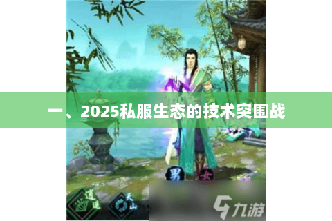 一、2025私服生态的技术突围战 一、2025私服生态的技术突围战