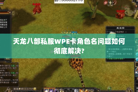 天龙八部私服WPE卡角色名问题如何彻底解决? 天龙八部私服WPE卡角色名问题如何彻底解决?
