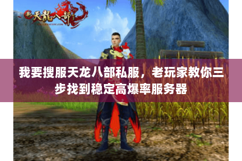 我要搜服天龙八部私服,老玩家教你三步找到稳定高爆率服务器 我要搜服天龙八部私服,老玩家教你三步找到稳定高爆率服务器
