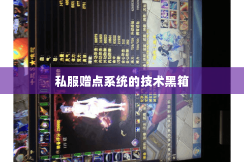私服赠点系统的技术黑箱