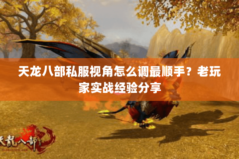 天龙八部私服视角怎么调最顺手?老玩家实战经验分享 天龙八部私服视角怎么调最顺手?老玩家实战经验分享