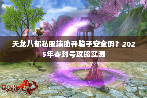 天龙八部私服辅助开箱子安全吗？2025年零封号攻略实测