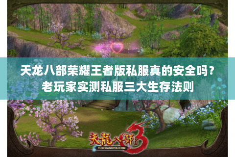 天龙八部荣耀王者版私服真的安全吗？老玩家实测私服三大生存法则