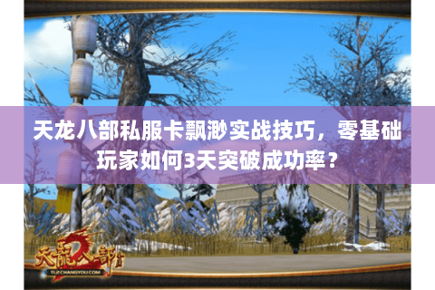 天龙八部私服卡飘渺实战技巧，零基础玩家如何3天突破成功率？