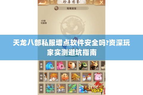 天龙八部私服增点软件安全吗?资深玩家实测避坑指南