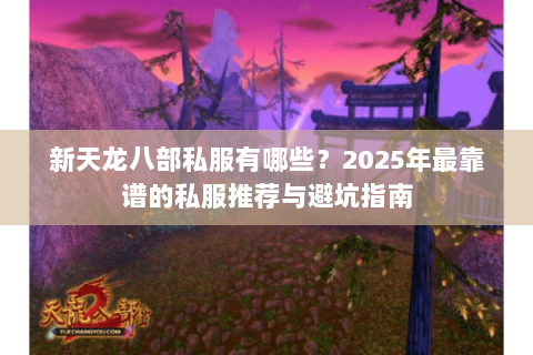 新天龙八部私服有哪些?2025年最靠谱的私服推荐与避坑指南 新天龙八部私服有哪些?2025年最靠谱的私服推荐与避坑指南