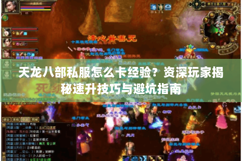 天龙八部私服怎么卡经验？资深玩家揭秘速升技巧与避坑指南