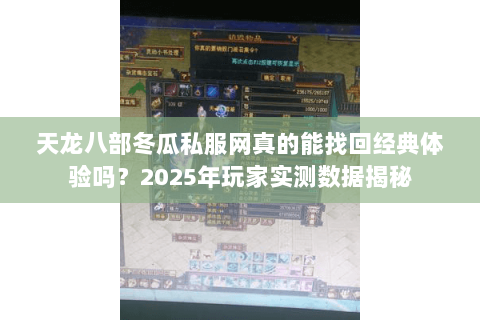 天龙八部冬瓜私服网真的能找回经典体验吗？2025年玩家实测数据揭秘