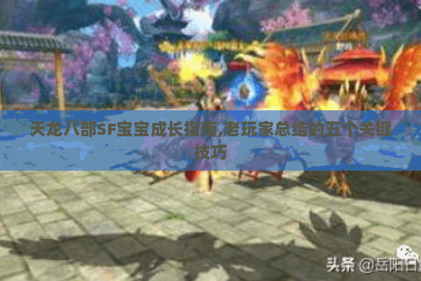 天龙八部SF宝宝成长指南,老玩家总结的五个关键技巧