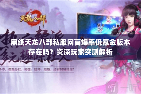 黑纸天龙八部私服网高爆率低氪金版本存在吗？资深玩家实测解析