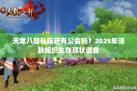 天龙八部私服还有公会吗？2025年活跃组织生存现状调查