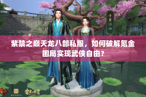 紫禁之巅天龙八部私服，如何破解氪金困局实现武侠自由？