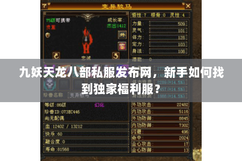 九妖天龙八部私服发布网,新手如何找到独家福利服? 九妖天龙八部私服发布网,新手如何找到独家福利服?