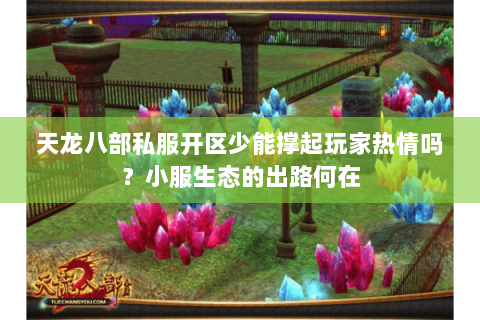 天龙八部私服开区少能撑起玩家热情吗?小服生态的出路何在 天龙八部私服开区少能撑起玩家热情吗?小服生态的出路何在