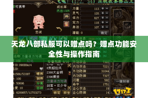 天龙八部私服可以赠点吗？赠点功能安全性与操作指南