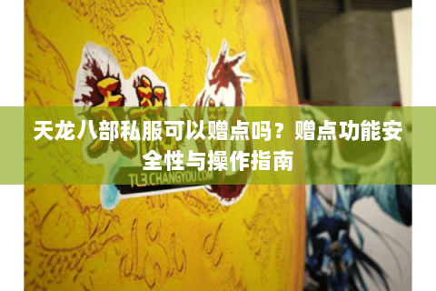 天龙八部私服可以赠点吗？赠点功能安全性与操作指南