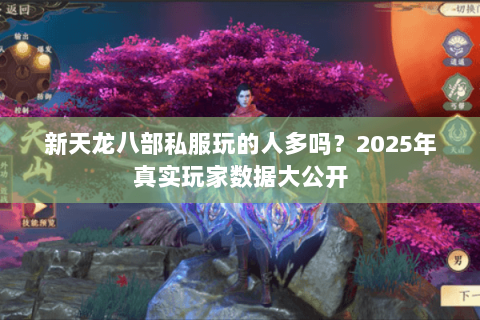 新天龙八部私服玩的人多吗?2025年真实玩家数据大公开 新天龙八部私服玩的人多吗?2025年真实玩家数据大公开