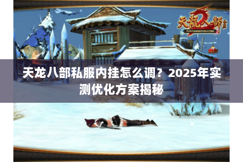 天龙八部私服内挂怎么调?2025年实测优化方案揭秘 天龙八部私服内挂怎么调?2025年实测优化方案揭秘