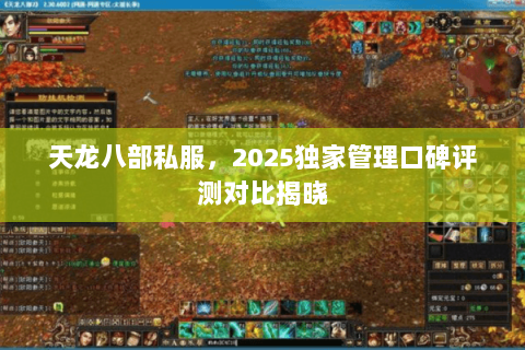 天龙八部私服，2025独家管理口碑评测对比揭晓