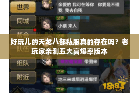 好玩儿的天龙八部私服真的存在吗？老玩家亲测五大高爆率版本