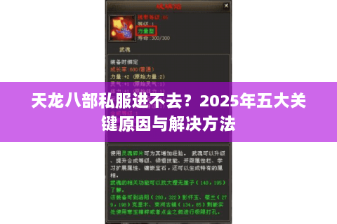 天龙八部私服进不去?2025年五大关键原因与解决方法 天龙八部私服进不去?2025年五大关键原因与解决方法