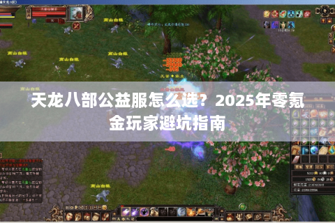 天龙八部公益服怎么选？2025年零氪金玩家避坑指南